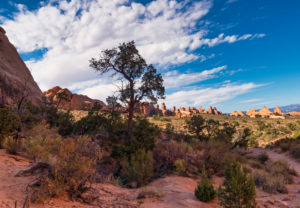 USA, Utah, Arches National Park, Devils Garden, rock formations, USA, Utah, Arches National Park, Devils Garden, rock formations,